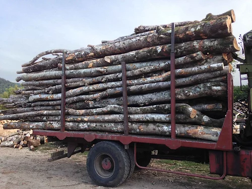 Acacia – Camion