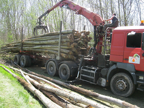 Castagno – 50 metri cubi Carico completo